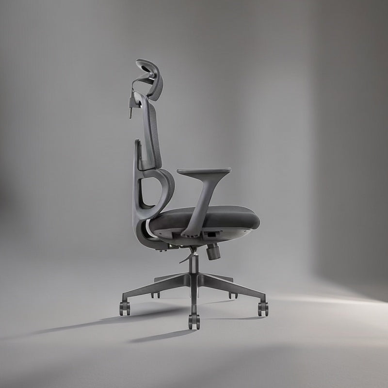 Sitfinity Ergonomic office chair H