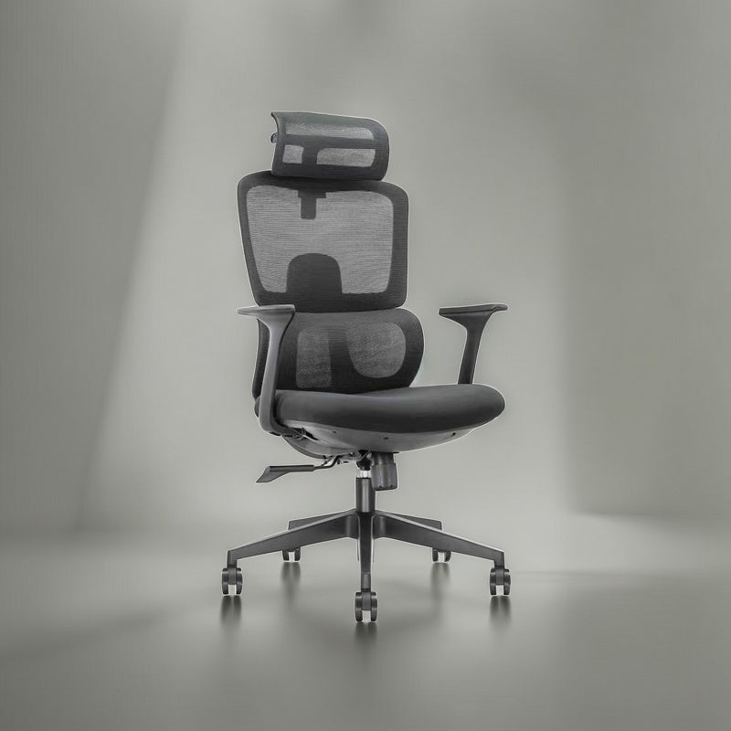 Sitfinity Ergonomic office chair H